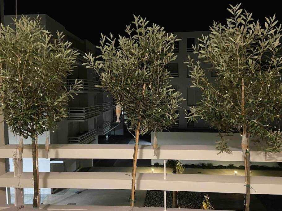 Les Voiles Blanches T2 Luxe A 100m De La Leucate