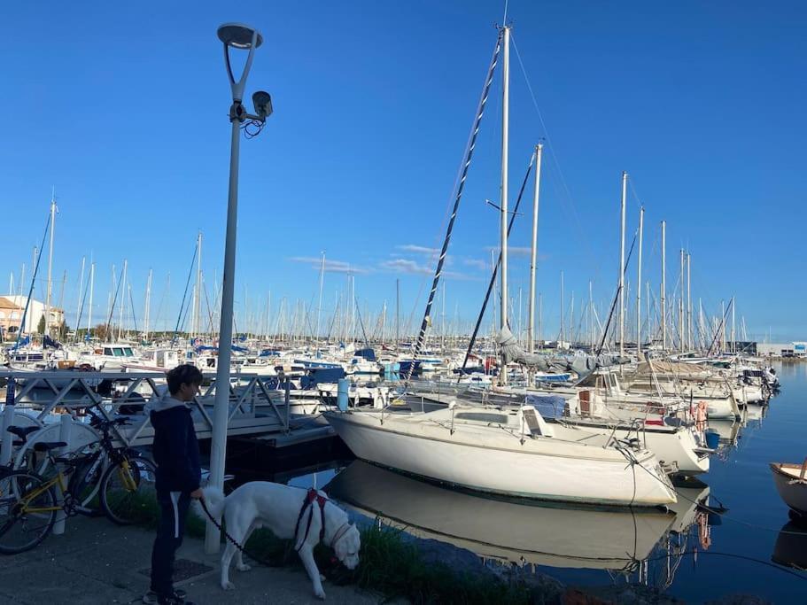 Les Voiles Blanches T2 Luxe A 100m De La